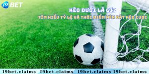 Kèo dưới là gì? Tìm hiểu tỷ lệ và thời điểm nên đặt kèo cược
